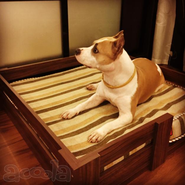 Стильная кроватка для большой собаки